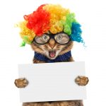 Social Media Top Tips 2018