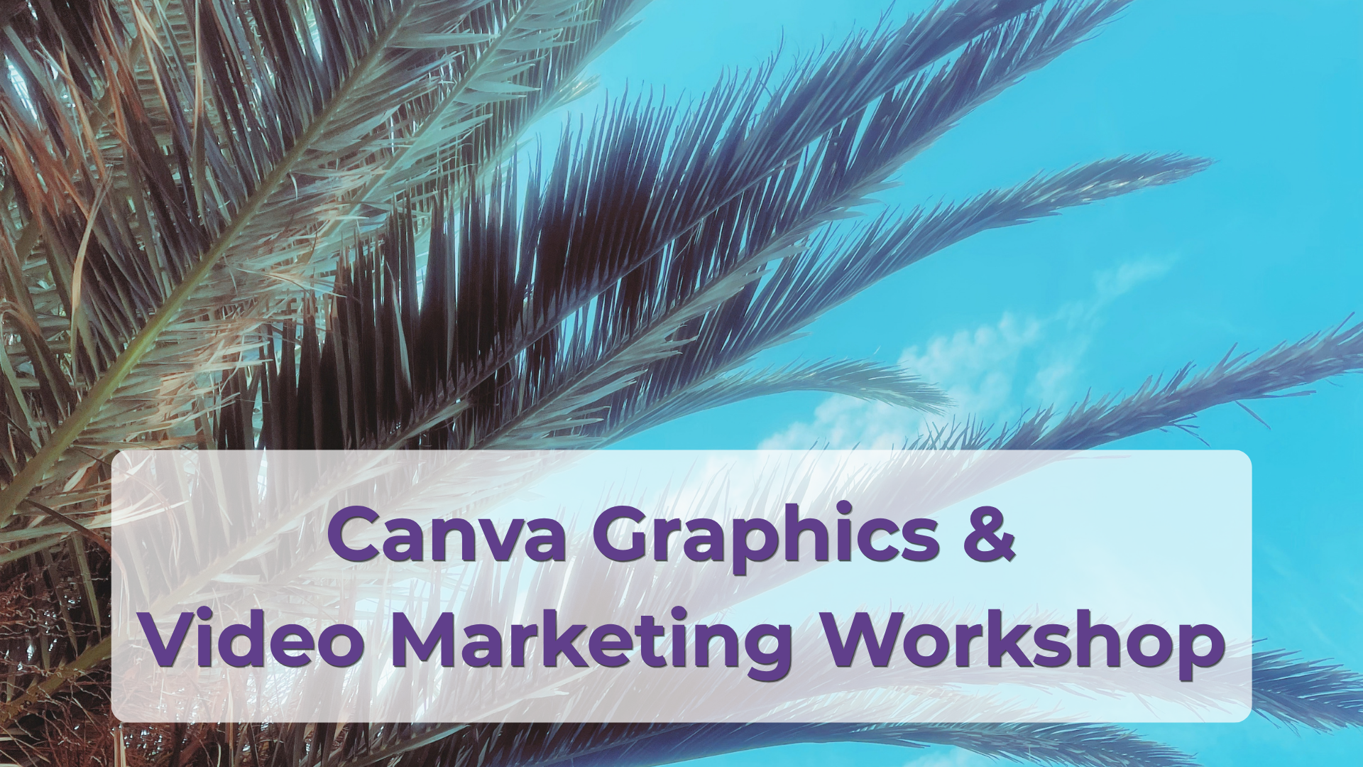 canva-graphics-video-marketing