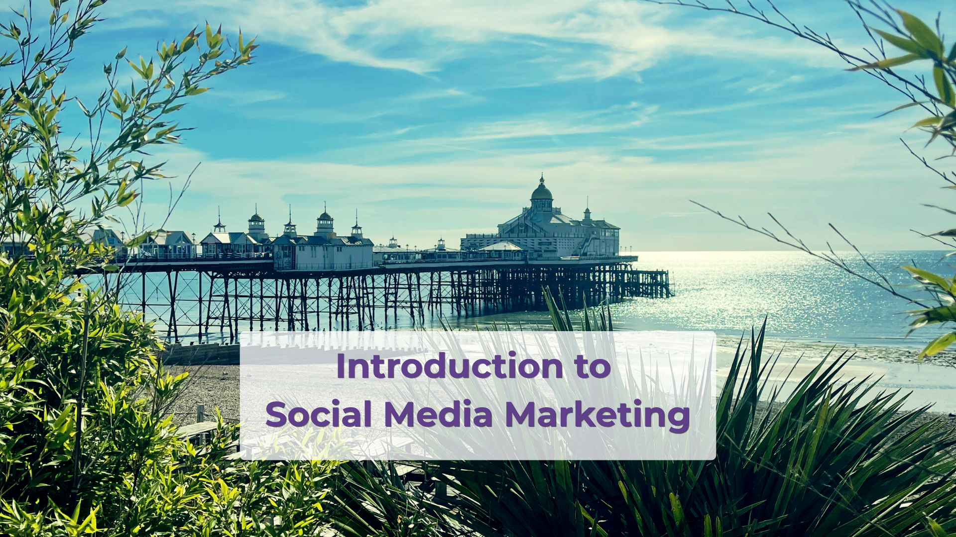 introduction-to-social-media-marketing-1920-x-1080-px-1-1